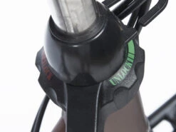 Cortina E-Common Family DB7 Bosch ActiveLine+ MM Lage Instap 2023 -Cube Shop CAXF8C A 4ed8