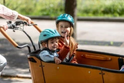 Cangoo Buckle Bakfiets -Cube Shop Medium E bike zakelijk 2022 04 af88