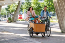 Cangoo Buckle Bakfiets -Cube Shop Medium E bike zakelijk 2022 11 6525