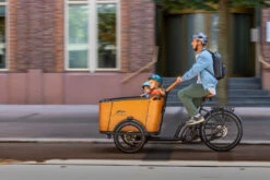 Cangoo Buckle Bakfiets -Cube Shop Medium E bike zakelijk 2022 53 e38f