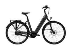 QWIC Premium I +Auto Dames