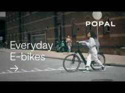 Popal Daily Dutch Prestige-E N3 -Cube Shop Sa41xd254i4 18