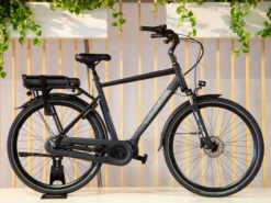 Brinckers Brisbane M8 57 Cm Heren Showmodel