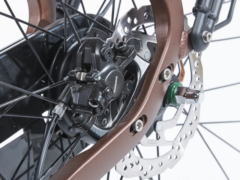 Cortina E-Common Family DB8 Bosch ActiveLine+ MM Lage Instap 2023 - Afbeelding 5