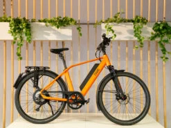 Qwic Performance RD11 Speed 48cm Showmodel