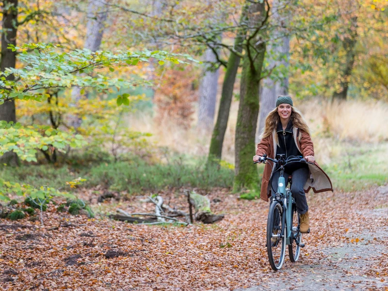 Popal Novel MM N7 15 Popal Novel MM N7 - Afbeelding 13