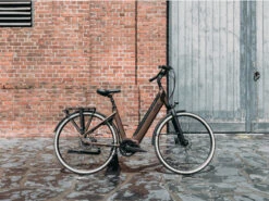 QWIC Premium I MN7+ Belt Dames -Cube Shop premium i mn7belt dames sfeer b061