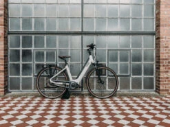 QWIC Premium I MN7+ Dames -Cube Shop premium i mn7plus dames sfeer f694