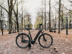 QWIC Premium I MN7+ Heren -Cube Shop premium i mn7plus heren sfeer3 2fb2