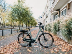 QWIC Premium MN7D+ Dames -Cube Shop qwic premium mn7d plus sfeerafbeelding6 df70