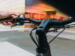 QWIC Premium Q MN8 Belt Dames -Cube Shop qwic premium q mn8 belt display b8cc