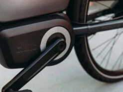 QWIC Premium Q MN8 Belt Dames -Cube Shop qwic premium q mn8 belt motor ba8c