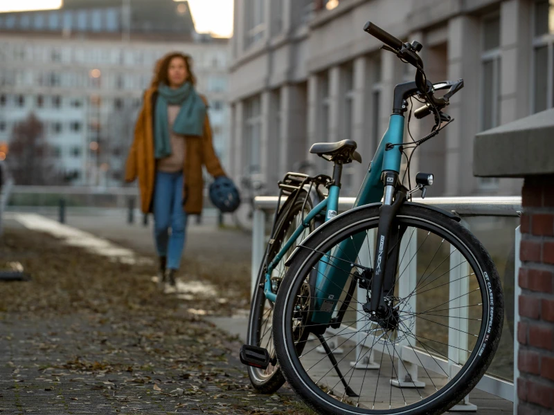 Tenways CGO800S 12 Tenways CGO800S - Afbeelding 10