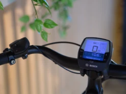 Victoria ETrekking 6.3 48cm Dames Showmodel -Cube Shop victoria etrekking 6.3 detailfoto3 display bediening